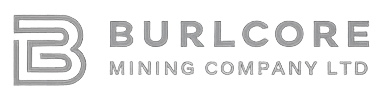 Client Logo - Burlcore