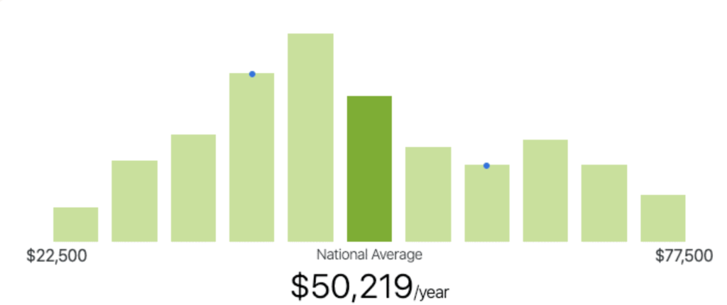 Web Developer Average