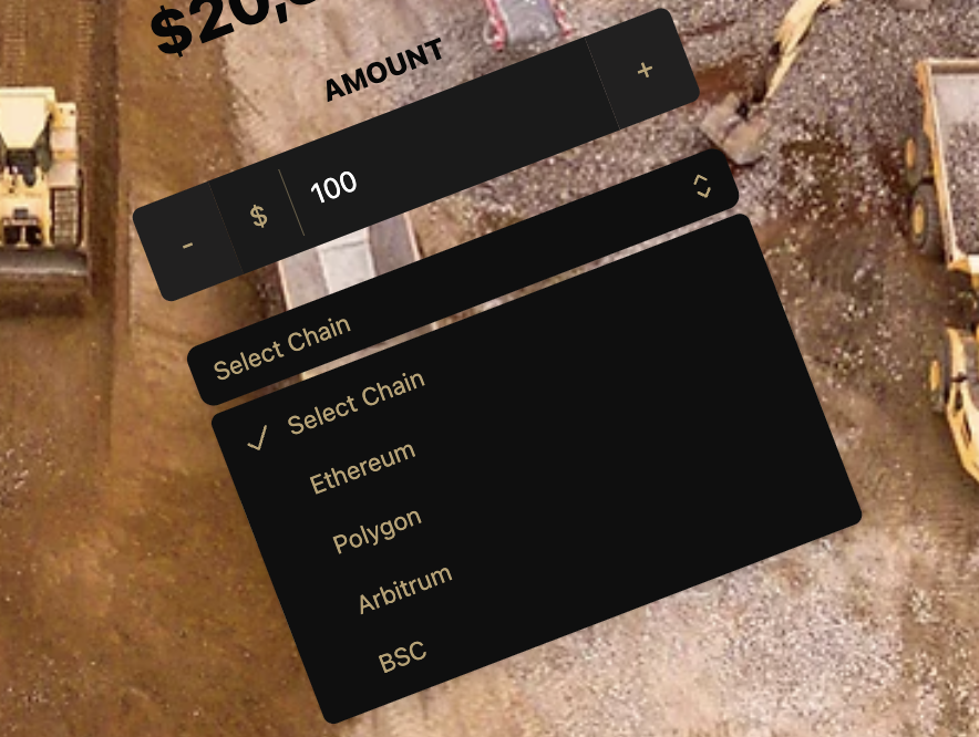 Custom Fundraising DApp Development Services for Burlcore