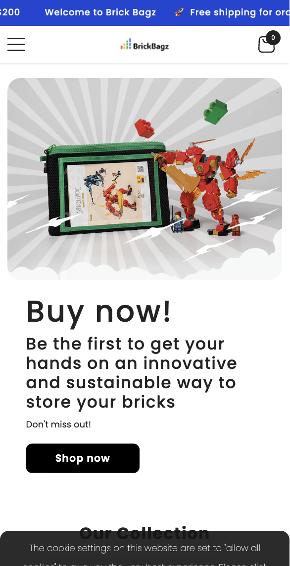 shopify development service